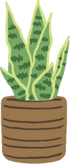 Potted Plant Illustration