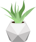 Plant Pot Illustration