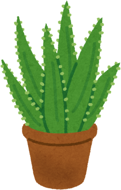 Illustration of an Aloe Plant in a Brown Pot